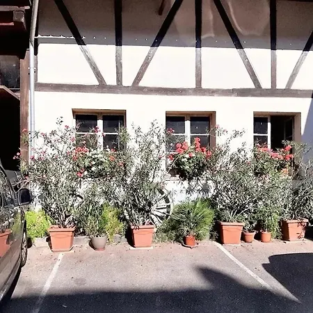 Maison De Charme Avec Jardin A - Chaleur Cosy إينغرسهايم