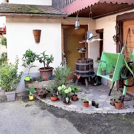 Dom wakacyjny Maison De Charme Avec Jardin A - Chaleur Cosy *