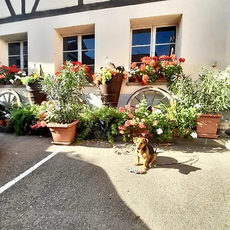 Maison De Charme Avec Jardin A - Chaleur Cosy